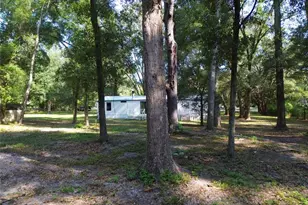 304 Colgate Loop, Fort White, FL 32038 - Photo 30