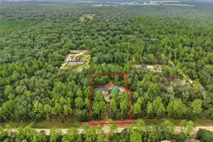10931 NE 78th Ln, Bronson, FL 32621 - Photo 2