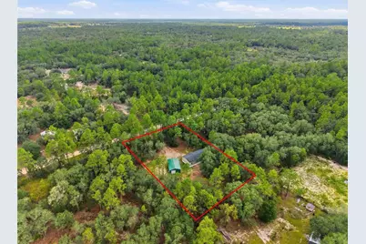 10931 NE 78th Lane, Bronson, FL 32621 - Photo 4