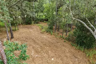 10931 NE 78th Ln, Bronson, FL 32621 - Photo 38