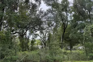 11360 NE State Rd 24, Archer, FL 32618 - Photo 20