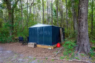 13328 NE 230th Ct, Raiford, FL 32083 - Photo 4