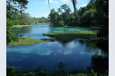8823 SW 196th Avenue Road, Dunnellon, FL 34432 - Photo 40