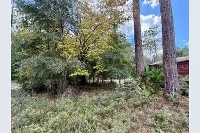 4850 NW 55th Avenue, Bell, FL 32619 - Photo 26