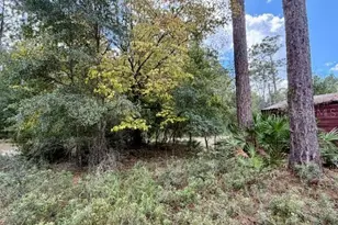 4850 NW 55th Ave, Bell, FL 32619 - Photo 26
