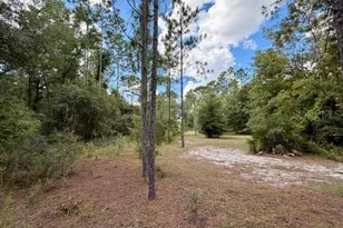 4850 NW 55th Ave, Bell, FL 32619 - Photo 28