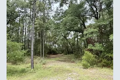 4850 NW 55th Avenue, Bell, FL 32619 - Photo 36