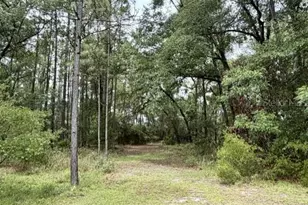 4850 NW 55th Ave, Bell, FL 32619 - Photo 36