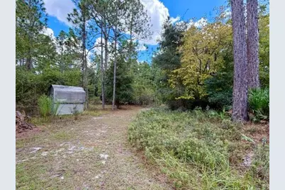 4850 NW 55th Avenue, Bell, FL 32619 - Photo 4
