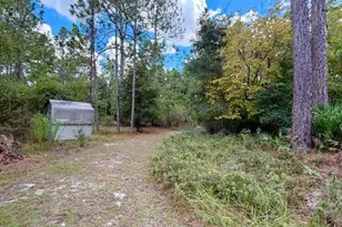 4850 NW 55th Ave, Bell, FL 32619 - Photo 4
