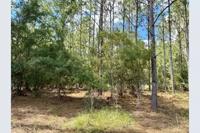 4850 NW 55th Avenue, Bell, FL 32619 - Photo 30