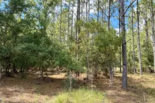 4850 NW 55th Ave, Bell, FL 32619 - Photo 30