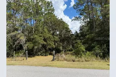 4850 NW 55th Avenue, Bell, FL 32619 - Photo 32