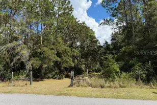 4850 NW 55th Ave, Bell, FL 32619 - Photo 32