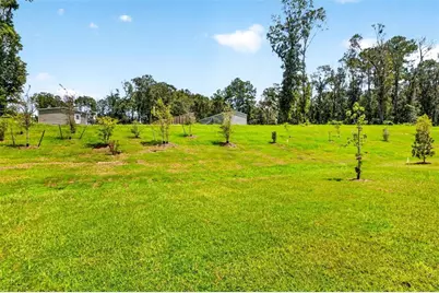 16543 NW 144th Street, Alachua, FL 32615 - Photo 40