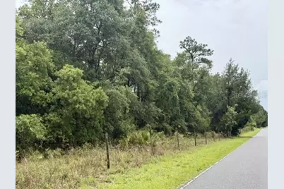 4890 NW 55th Avenue, Bell, FL 32619 - Photo 2