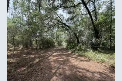 4890 NW 55th Avenue, Bell, FL 32619 - Photo 22