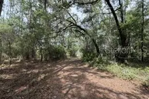 4890 NW 55th Ave, Bell, FL 32619 - Photo 22