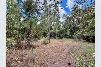 4890 NW 55th Avenue, Bell, FL 32619 - Photo 14