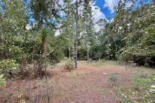 4890 NW 55th Ave, Bell, FL 32619 - Photo 14