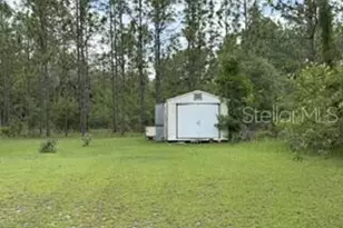 4890 NW 55th Ave, Bell, FL 32619 - Photo 10