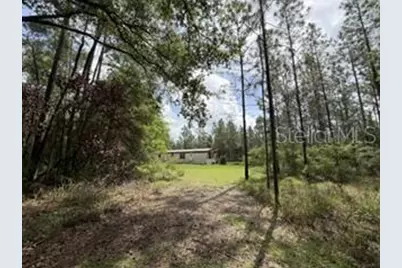 4890 NW 55th Avenue, Bell, FL 32619 - Photo 24