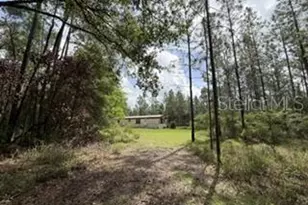 4890 NW 55th Ave, Bell, FL 32619 - Photo 24