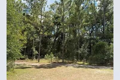 4890 NW 55th Avenue, Bell, FL 32619 - Photo 16