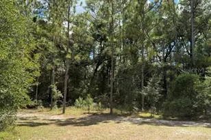 4890 NW 55th Ave, Bell, FL 32619 - Photo 16