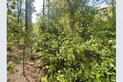 Ne 597th Street, Old Town, FL 32680 - Photo 6