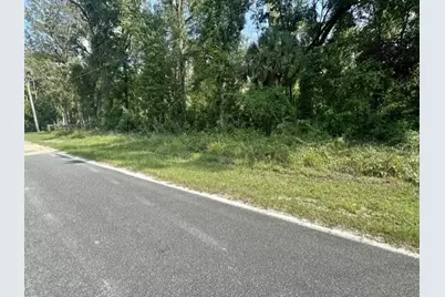 Ne 597th Street, Old Town, FL 32680 - Photo 1