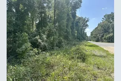 Ne 597th Street, Old Town, FL 32680 - Photo 2