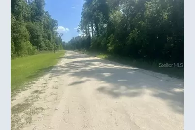 Ne 796th Street, Old Town, FL 32680 - Photo 6