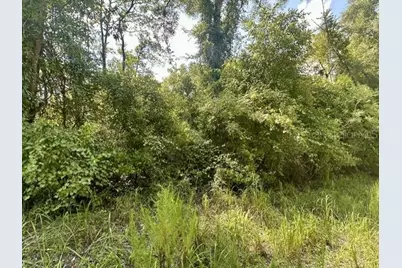 Ne 796th Street, Old Town, FL 32680 - Photo 4