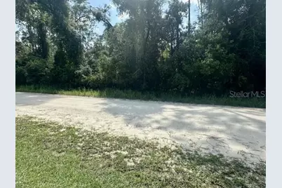 Ne 796th Street, Old Town, FL 32680 - Photo 2