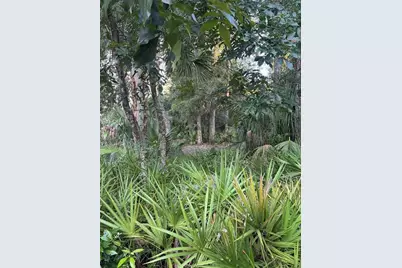 Nw 114th Court, Chiefland, FL 32626 - Photo 4