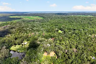 9350 NW 230th St, Micanopy, FL 32667 - Photo 92