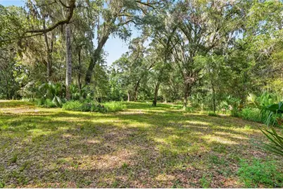 9350 NW 230 Street, Micanopy, FL 32667 - Photo 84