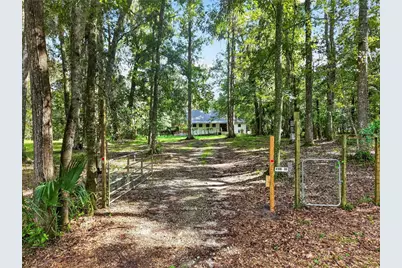 9350 NW 230 Street, Micanopy, FL 32667 - Photo 2
