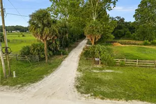 1750 SW 17th Terrace, Bell, FL 32619 - Photo 50