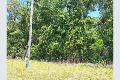 Tbd N Hwy 19, Chiefland, FL 32626 - Photo 4