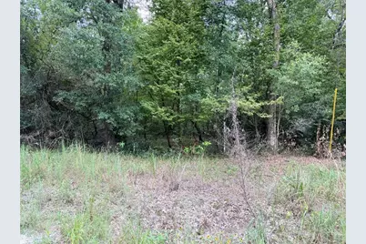 0 NE 756 Street, Old Town, FL 32680 - Photo 2