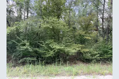 0 NE 756 Street, Old Town, FL 32680 - Photo 6