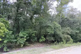 0 NE 756th St, Old Town, FL 32680 - Photo 1