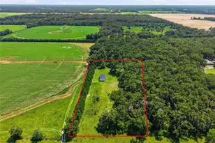 4754 SW 10th St, Bell, FL 32619 - Photo 46