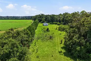 4754 SW 10th St, Bell, FL 32619 - Photo 42