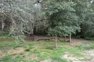 34627 Radio Rd, Leesburg, FL 34788 - Photo 18