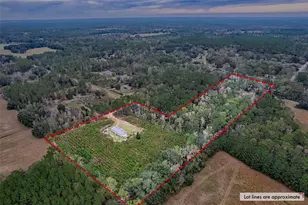 134 SE Powell Pl, Lake City, FL 32025 - Photo 40
