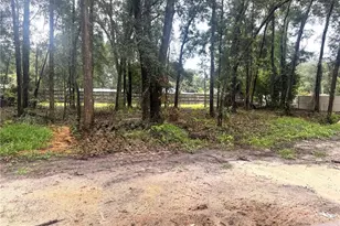 23161 NW 183rd Ln, High Springs, FL 32643 - Photo 56