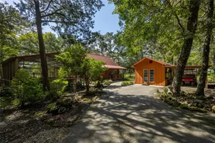 16350 NE 53rd Ln, Williston, FL 32696 - Photo 54